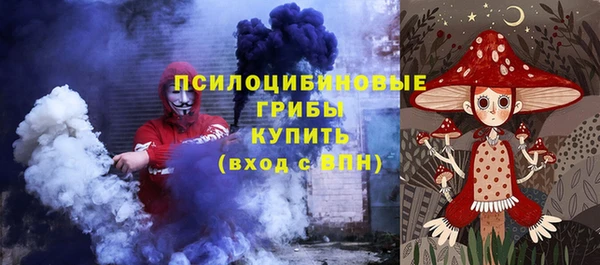 spice Новодвинск