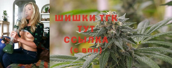 spice Новодвинск