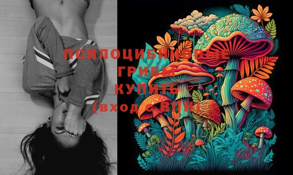 тгк Новозыбков