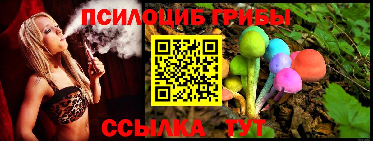 Галлюциногенные грибы Cubensis  Вход с VPN  Красноперекопск 