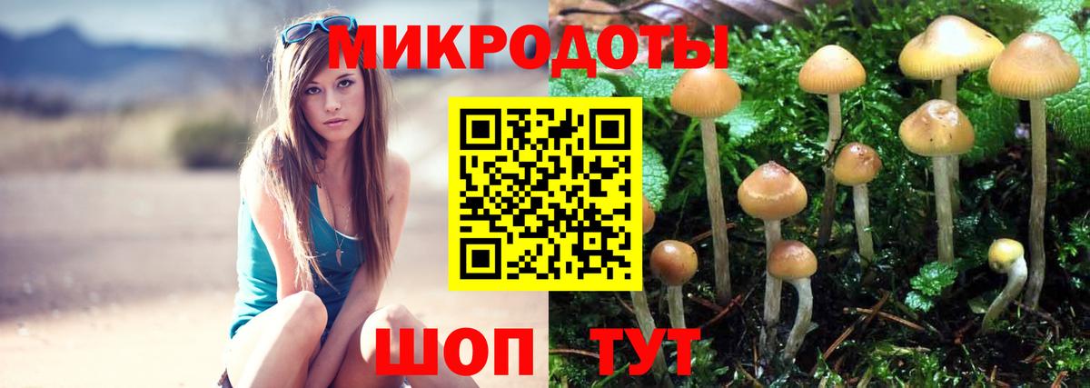 Псилоцибиновые грибы ЛСД  Красноперекопск 